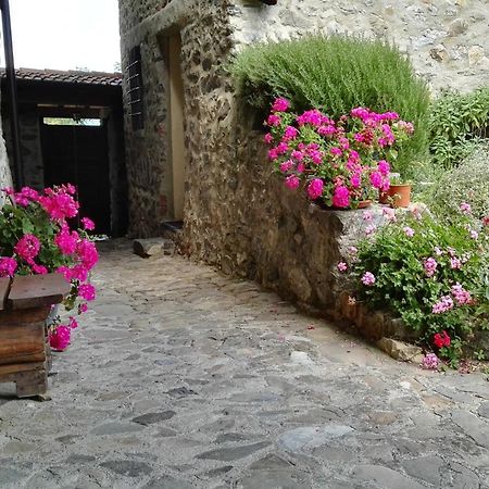 La Costa Di Gavedo Βίλα Εξωτερικό φωτογραφία